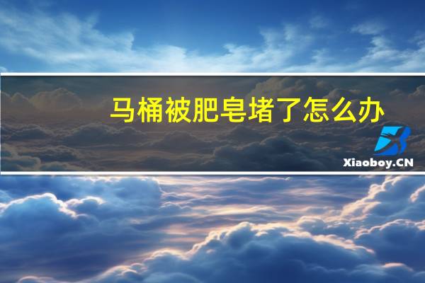 马桶被肥皂堵了怎么办