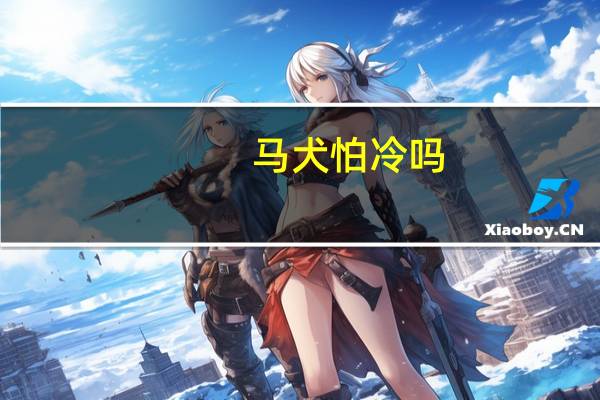 马犬怕冷吗
