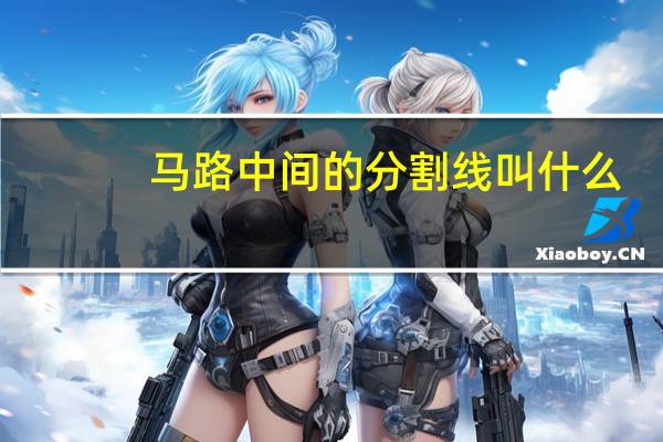 马路中间的分割线叫什么