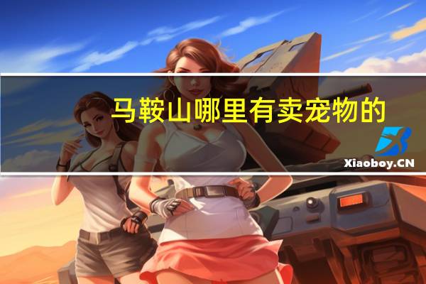 马鞍山哪里有卖宠物的