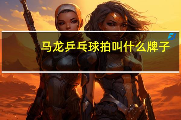马龙乒乓球拍叫什么牌子