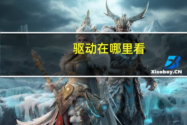驱动在哪里看