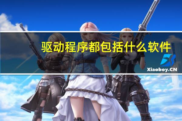 驱动程序都包括什么软件