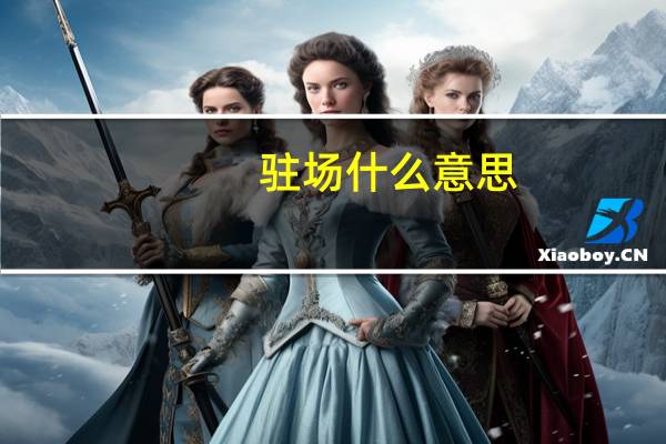 驻场什么意思