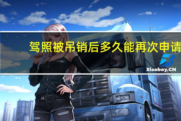 驾照被吊销后多久能再次申请
