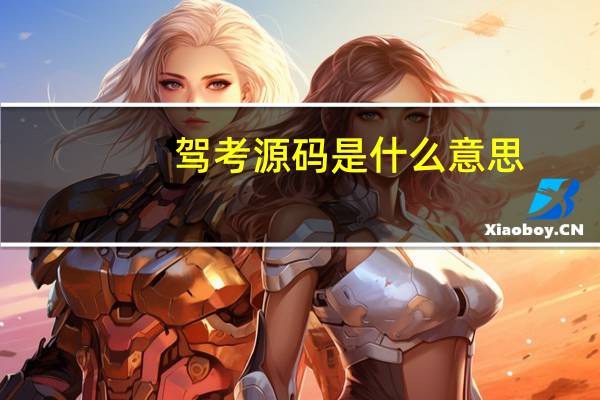 驾考源码是什么意思