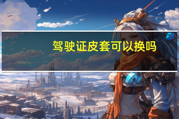 驾驶证皮套可以换吗