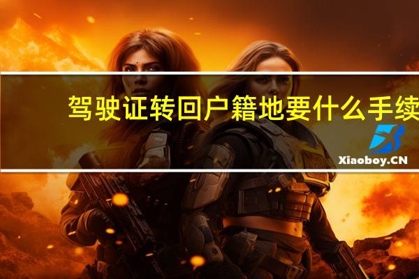 驾驶证转回户籍地要什么手续