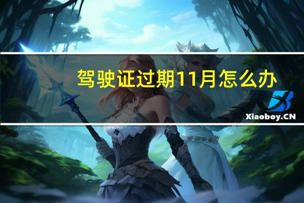 驾驶证过期11月怎么办