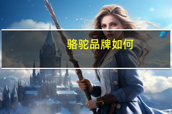 骆驼品牌如何