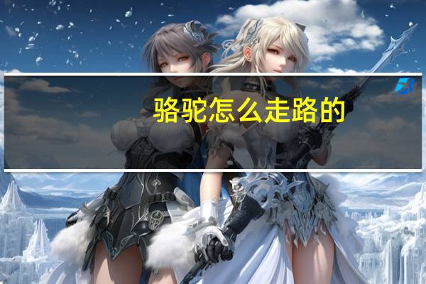 骆驼怎么走路的