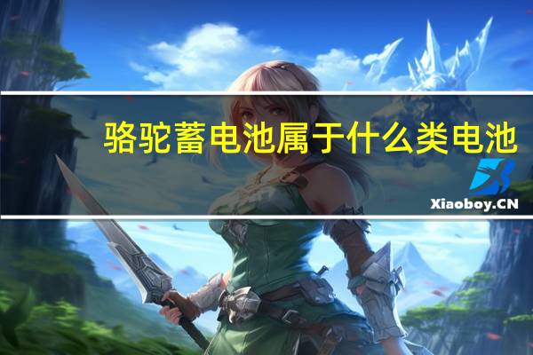 骆驼蓄电池属于什么类电池