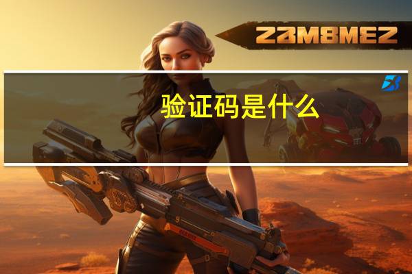 验证码是什么