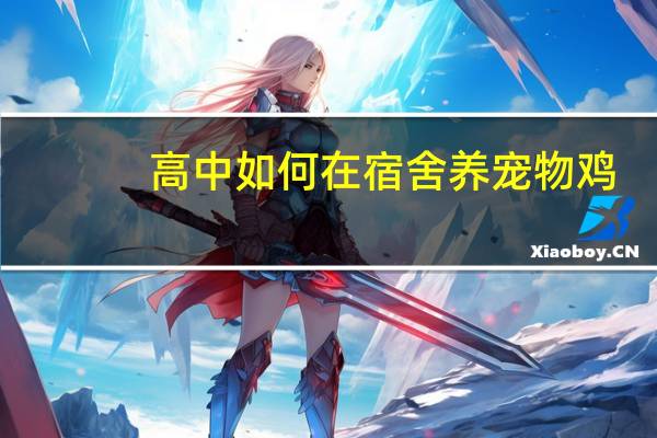 高中如何在宿舍养宠物鸡