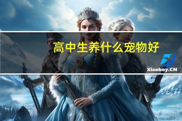 高中生养什么宠物好