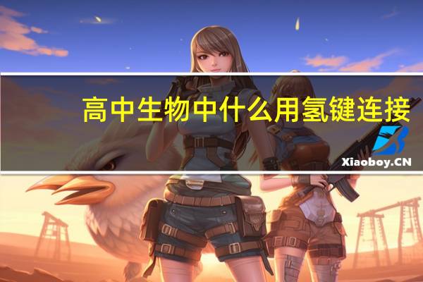 高中生物中什么用氢键连接