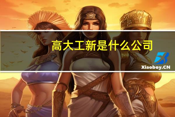 高大工新是什么公司