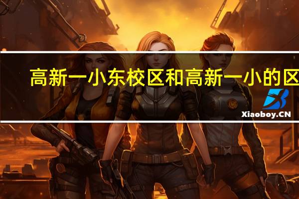 高新一小东校区和高新一小的区别