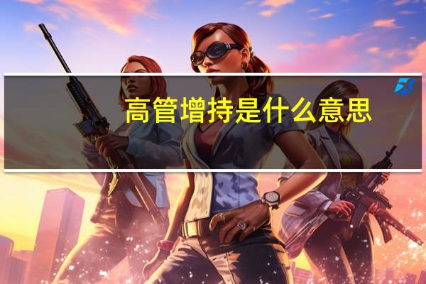 高管增持是什么意思