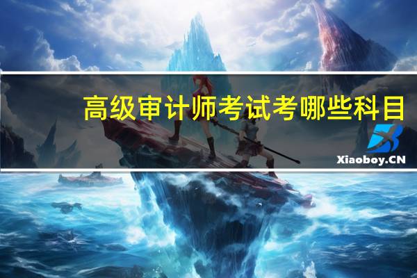 高级审计师考试考哪些科目