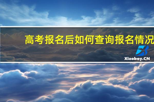 高考报名后如何查询报名情况