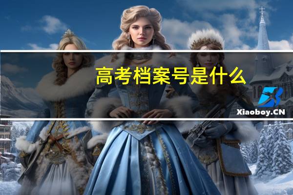 高考档案号是什么