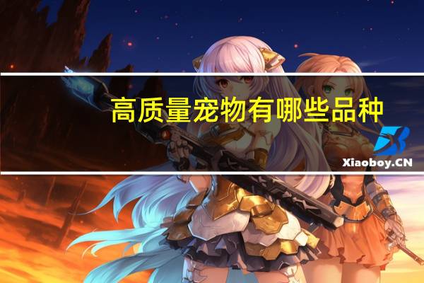 高质量宠物有哪些品种