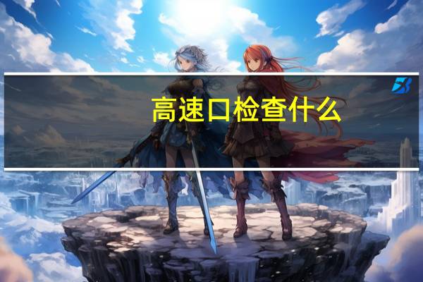 高速口检查什么