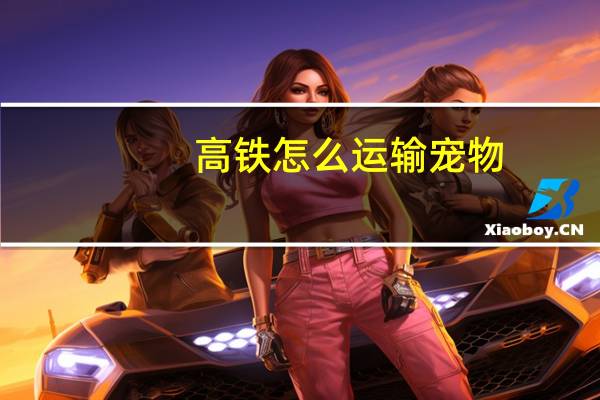 高铁怎么运输宠物