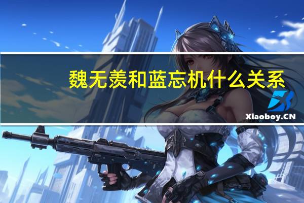 魏无羡和蓝忘机什么关系