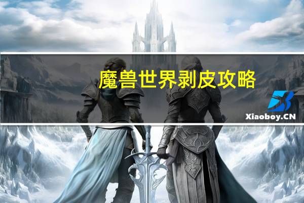 魔兽世界剥皮攻略