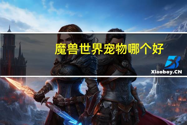 魔兽世界宠物哪个好