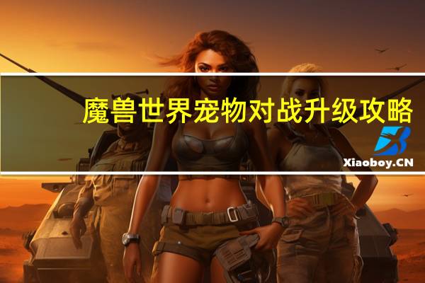 魔兽世界宠物对战升级攻略