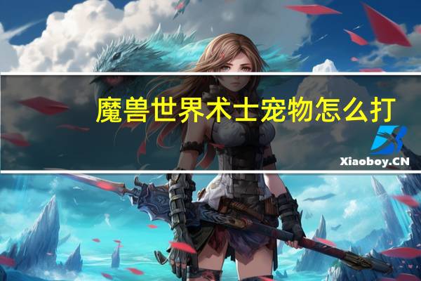 魔兽世界术士宠物怎么打