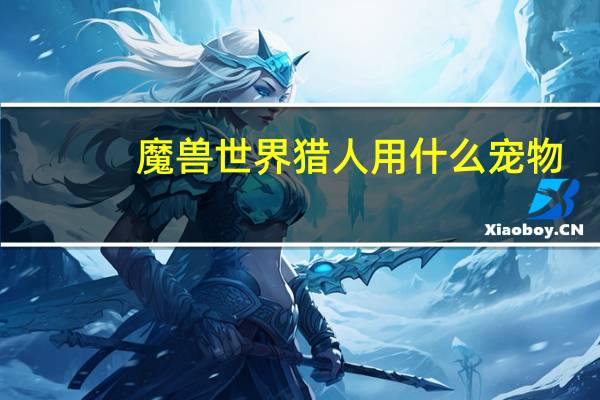 魔兽世界猎人用什么宠物