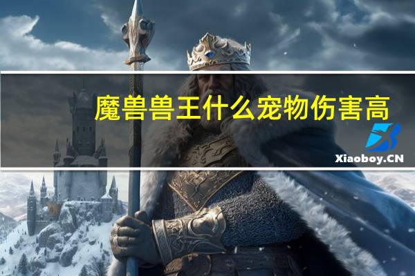 魔兽兽王什么宠物伤害高