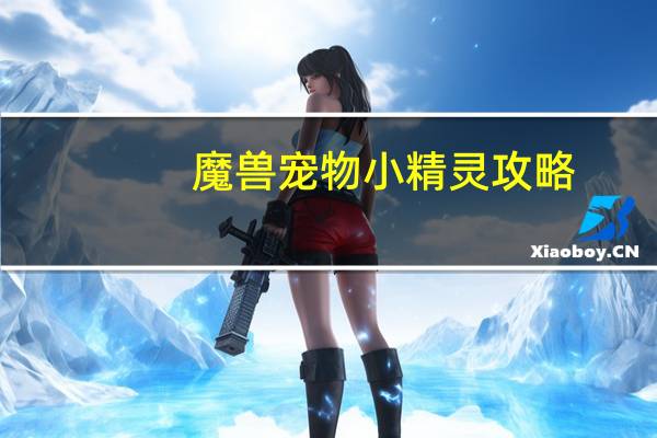 魔兽宠物小精灵攻略
