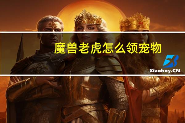 魔兽老虎怎么领宠物