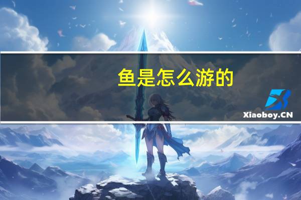 鱼是怎么游的