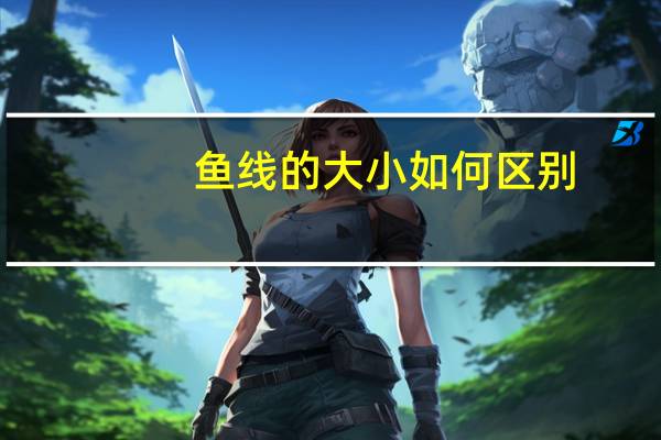 鱼线的大小如何区别