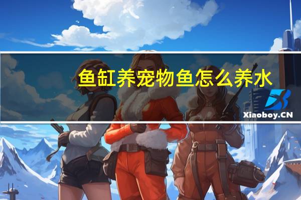 鱼缸养宠物鱼怎么养水