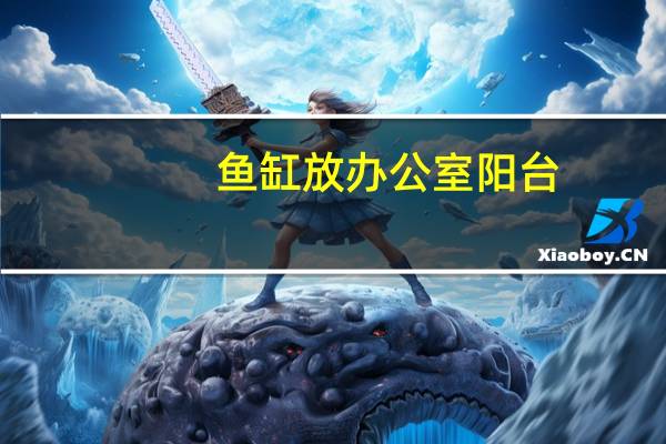 鱼缸放办公室阳台