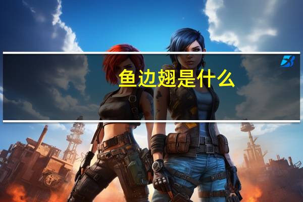 鱼边翅是什么