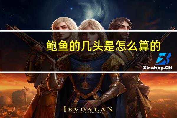 鲍鱼的几头是怎么算的