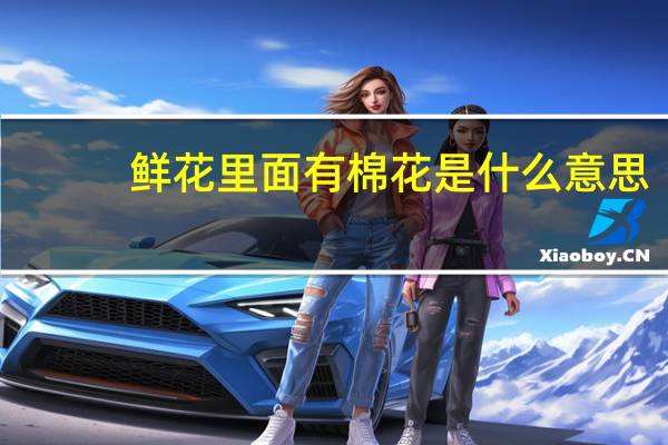 鲜花里面有棉花是什么意思