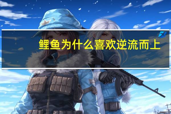 鲤鱼为什么喜欢逆流而上