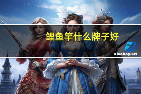 鲤鱼竿什么牌子好
