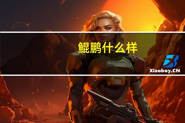 鲲鹏什么样