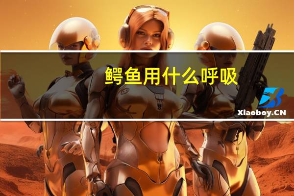 鳄鱼用什么呼吸