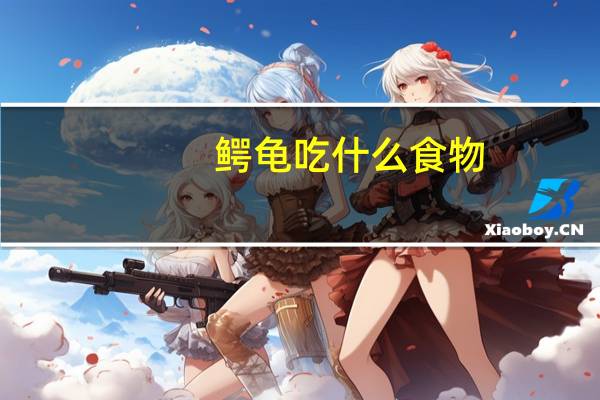 鳄龟吃什么食物